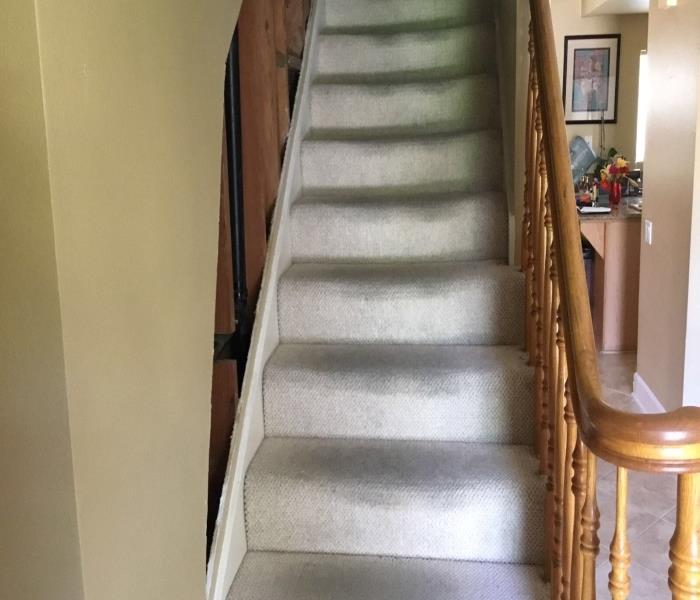 carpeted stairs showing dirt